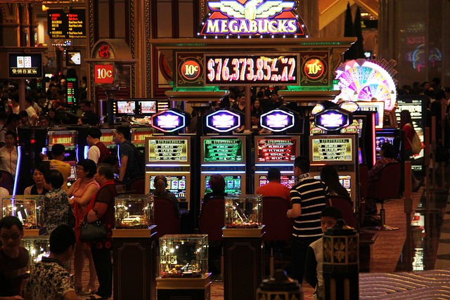 Casino Experience